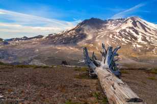Mt. St. Helens-7325.jpg